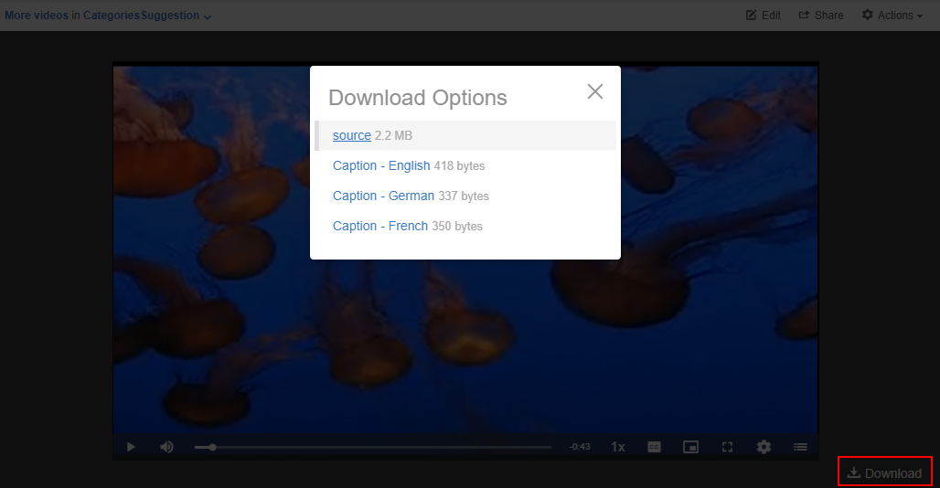A screenshot of the Downloading Options box