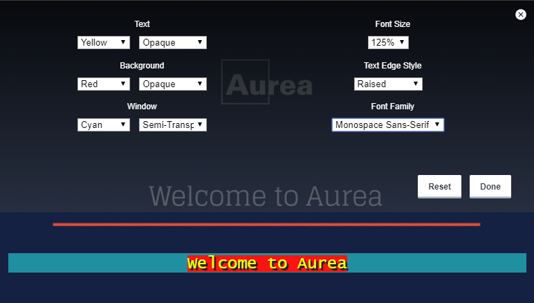 A screenshot of caption settings
